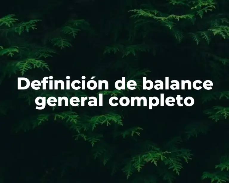Definición de balance general completo