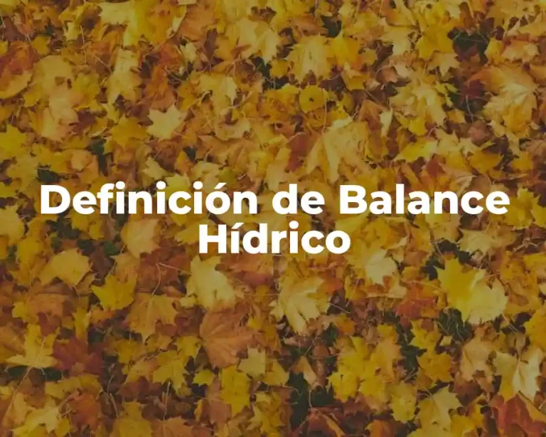 Definición de Balance Hídrico