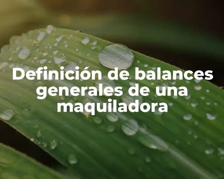 Definición de balances generales de una maquiladora