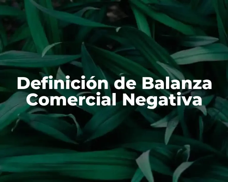 Definición de Balanza Comercial Negativa