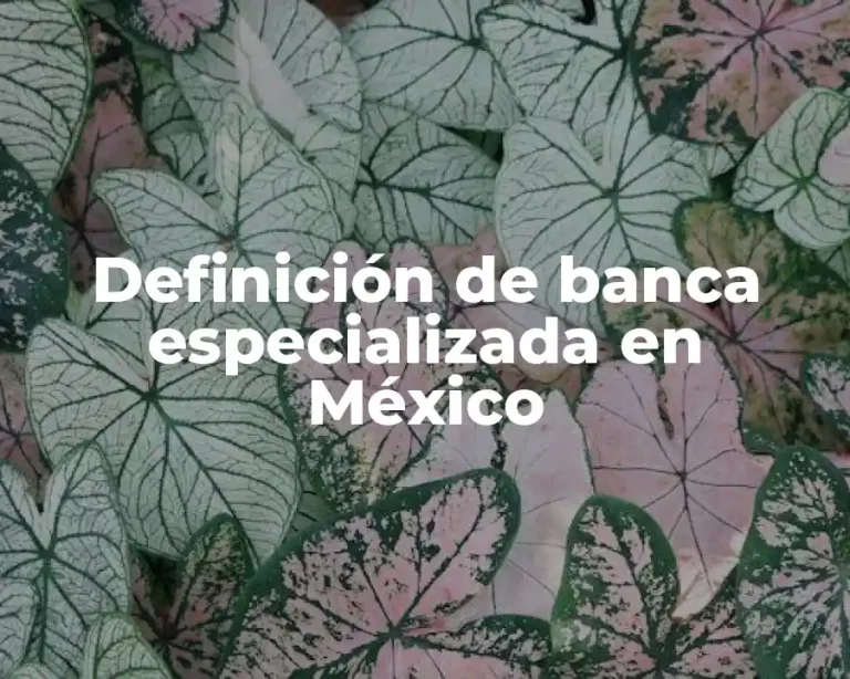 Definición de banca especializada en México