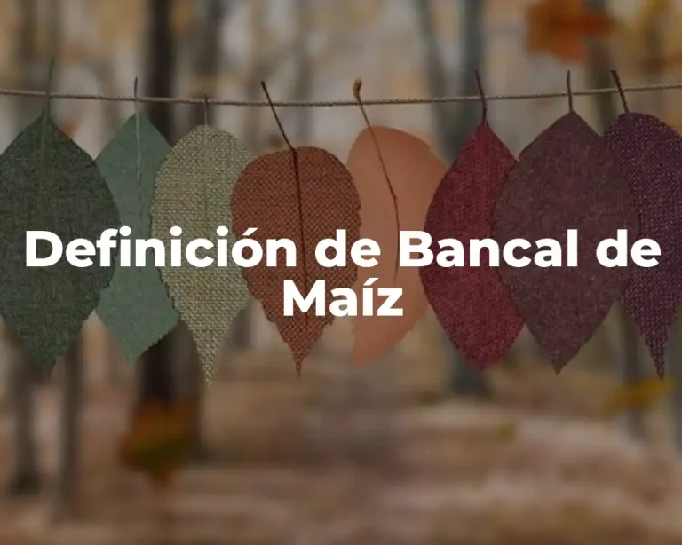 Definición de Bancal de Maíz