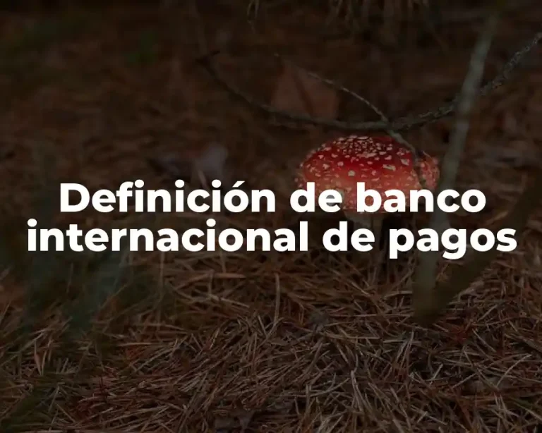 Definición de banco internacional de pagos