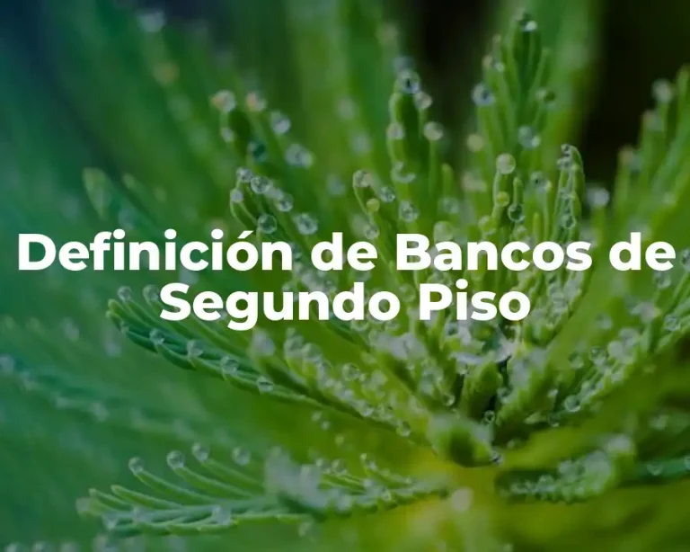 Definición de Bancos de Segundo Piso