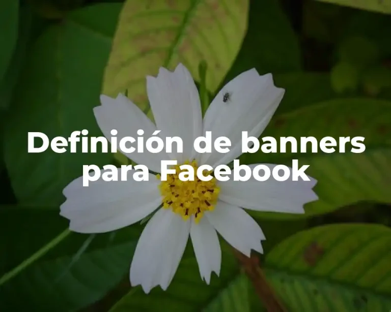 Definición de banners para Facebook