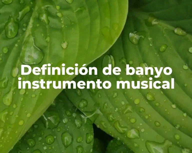 Definición de banyo instrumento musical