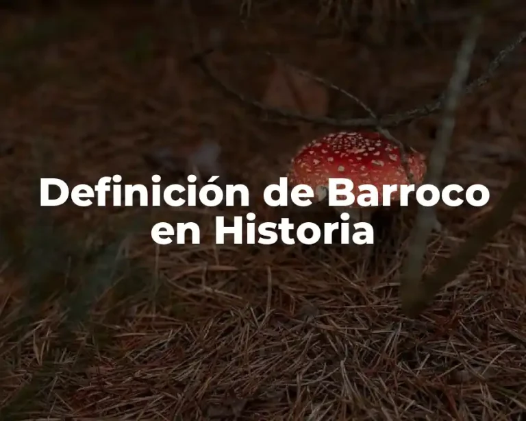 Definición de Barroco en Historia