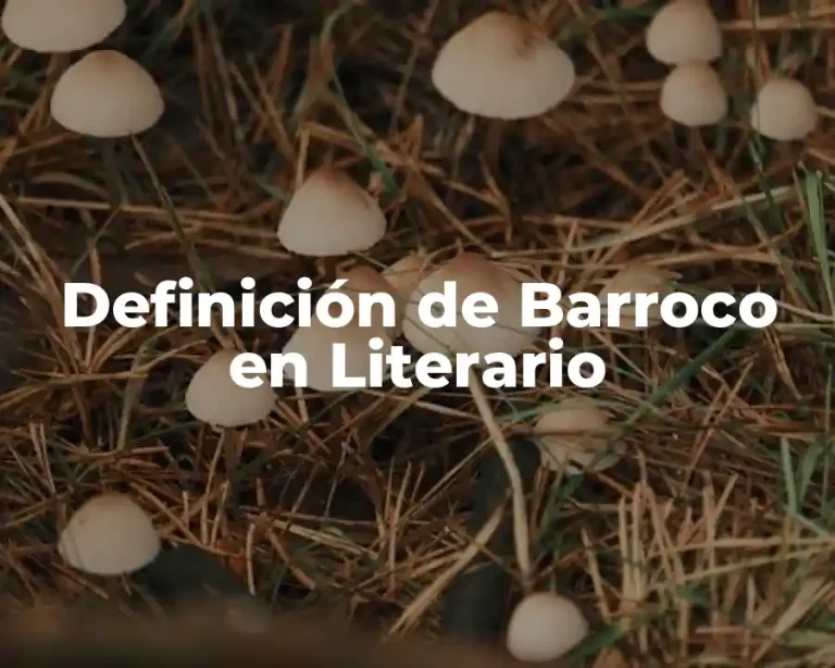 Definición de Barroco en Literario