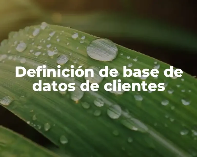 Definición de base de datos de clientes