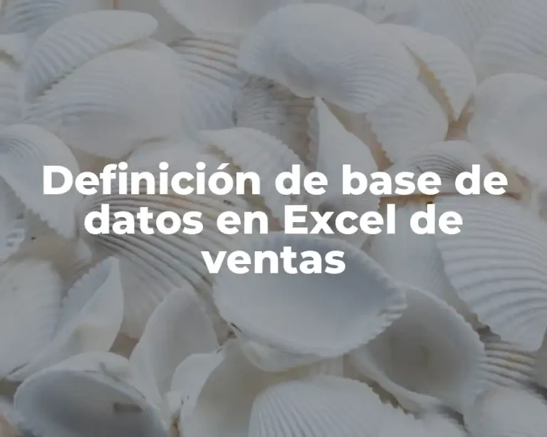 Definición de base de datos en Excel de ventas