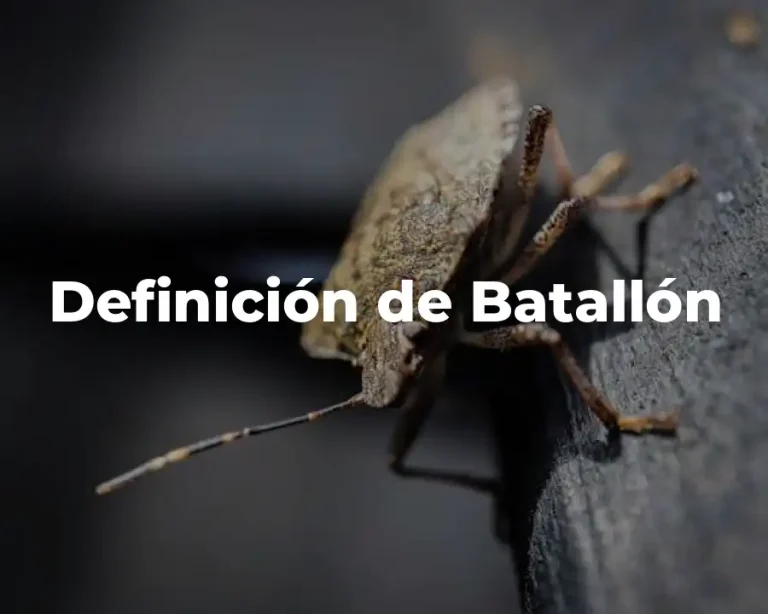 Definición de Batallón