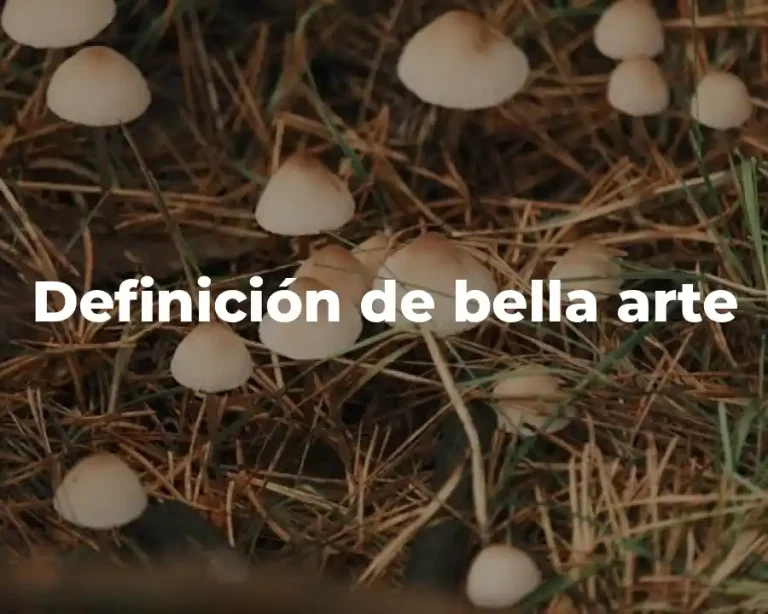 Definición de bella arte