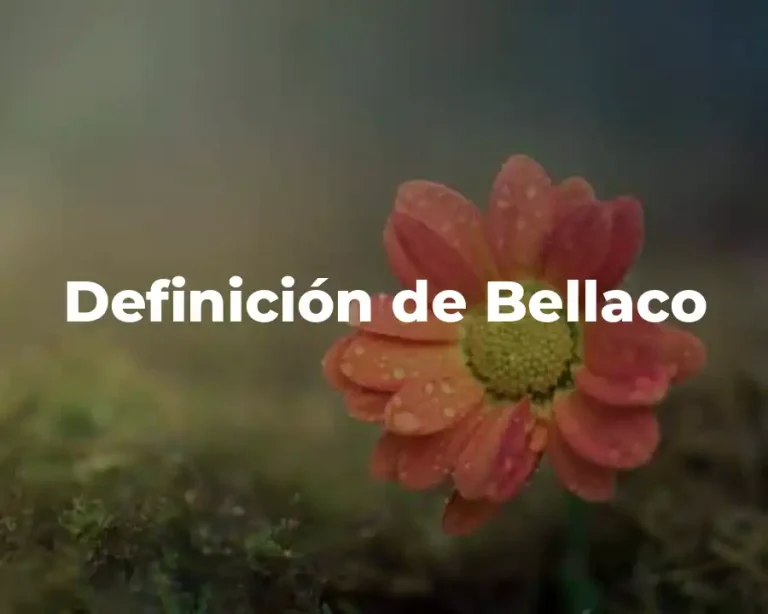 Definición de Bellaco