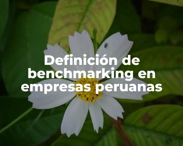 Definición de benchmarking en empresas peruanas