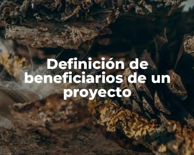 Definición de beneficiarios de un proyecto