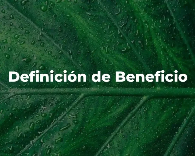 Definición de Beneficio