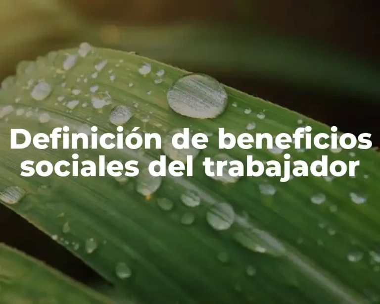 Definición de beneficios sociales del trabajador
