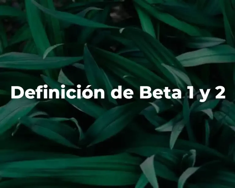 Definición de Beta 1 y 2