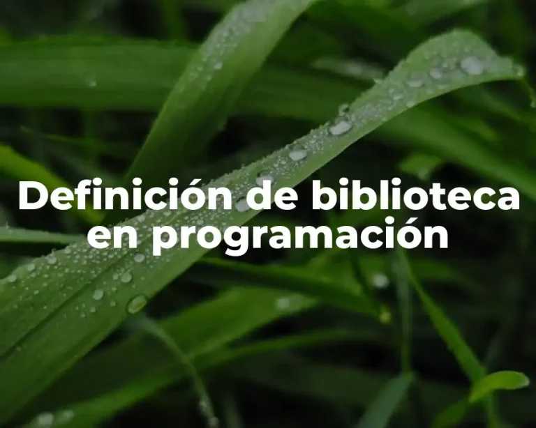 Definición de biblioteca en programación
