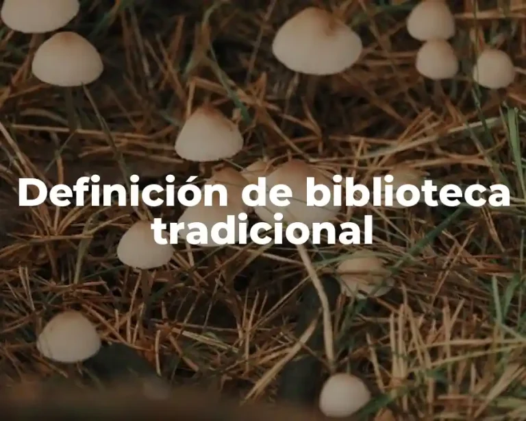 Definición de biblioteca tradicional