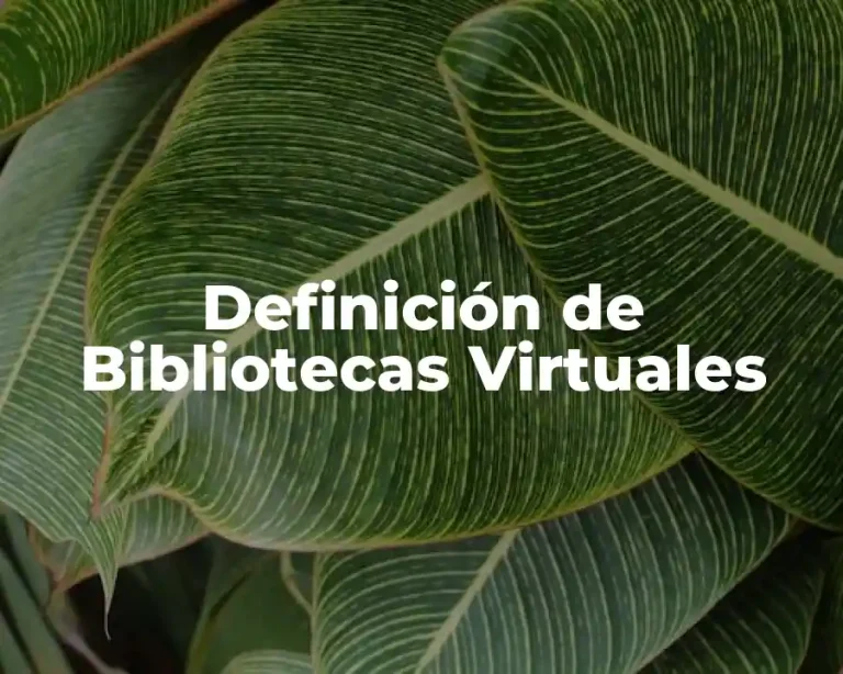 Definición de Bibliotecas Virtuales