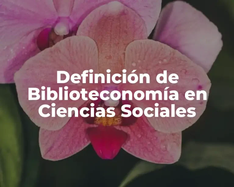 Definición de Biblioteconomía en Ciencias Sociales