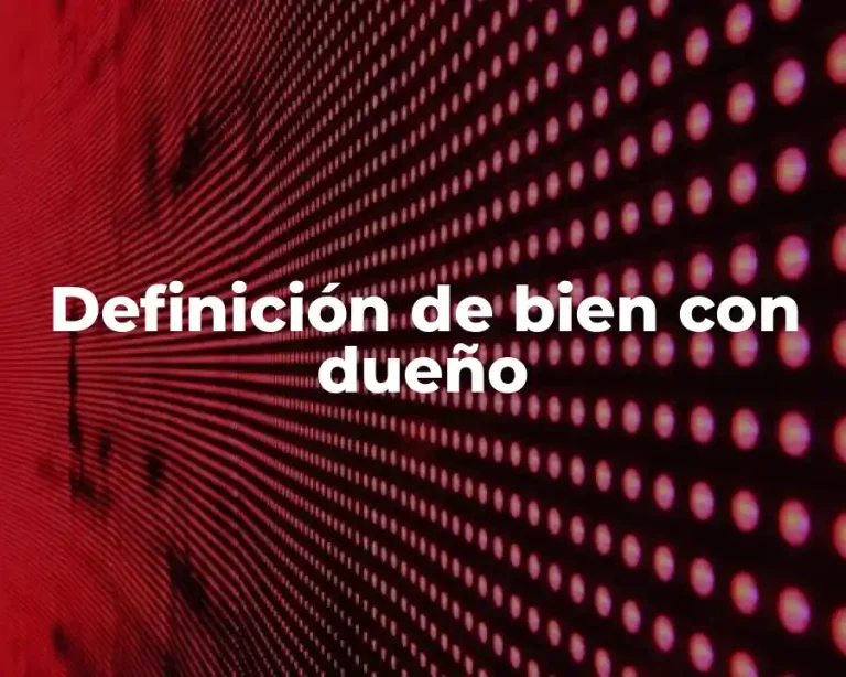 Definición de bien con dueño