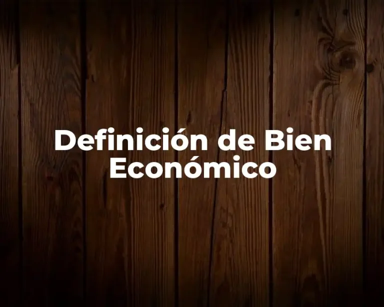 Definición de Bien Económico