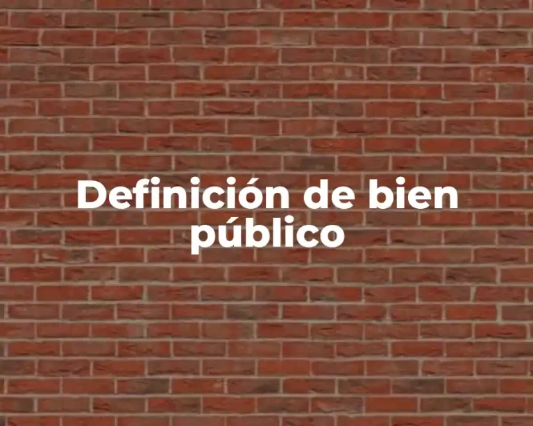 Definición de bien público