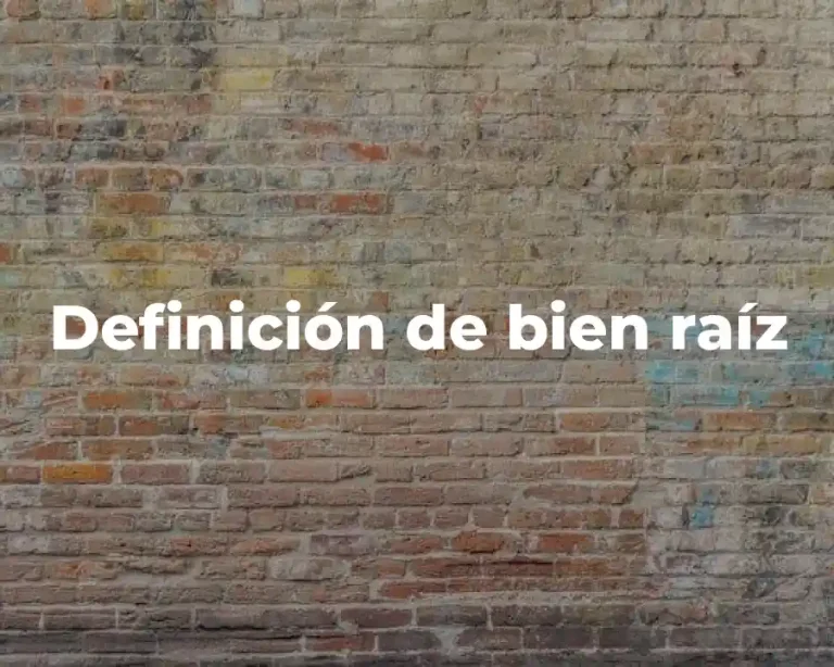 Definición de bien raíz
