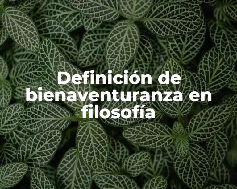 Definición de bienaventuranza en filosofía
