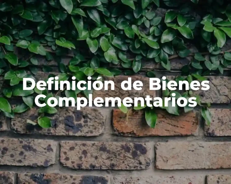 Definición de Bienes Complementarios