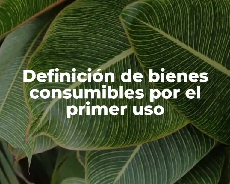 Definición de bienes consumibles por el primer uso