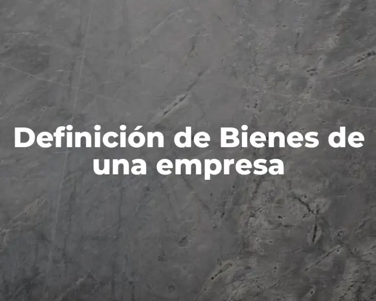 Definición de Bienes de una empresa
