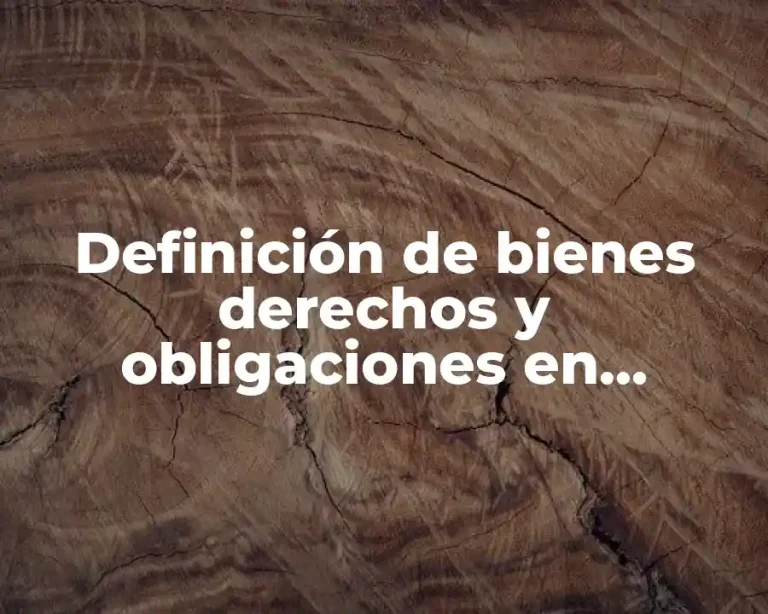 Definición de bienes derechos y obligaciones en contabilidad