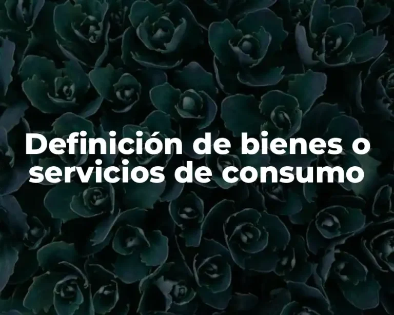 Definición de bienes o servicios de consumo