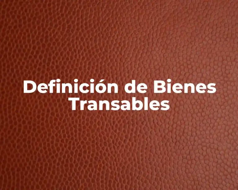 Definición de Bienes Transables