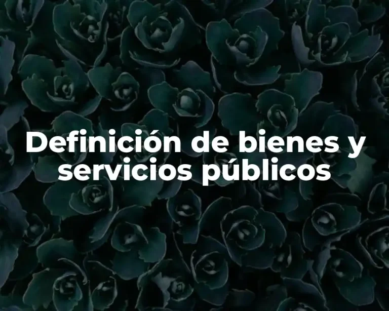Definición de bienes y servicios públicos