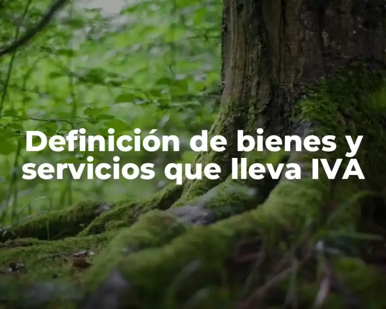 Definición de bienes y servicios que lleva IVA
