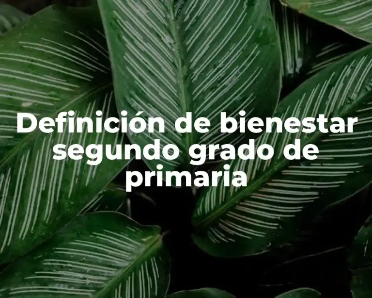Definición de bienestar segundo grado de primaria