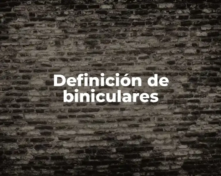Definición de biniculares