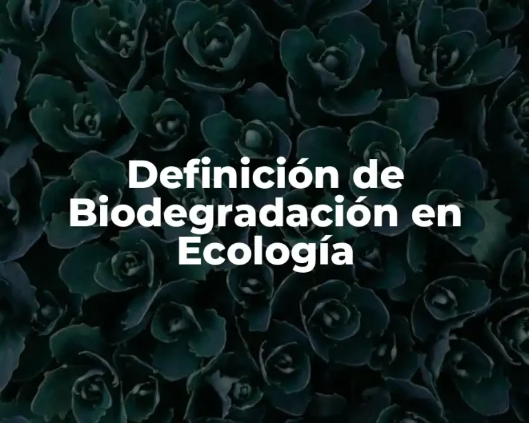 Definición de Biodegradación en Ecología