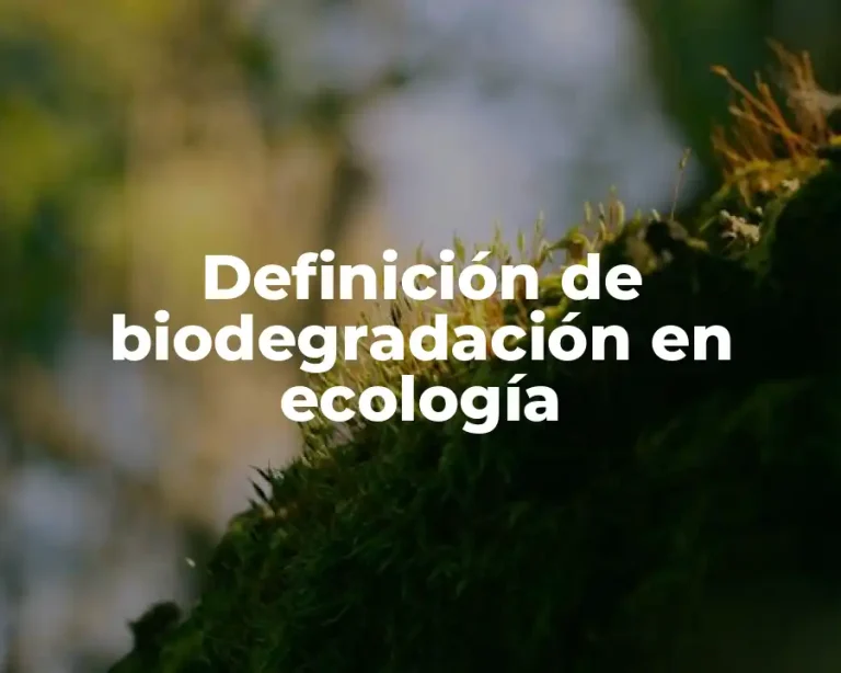 Definición de biodegradación en ecología