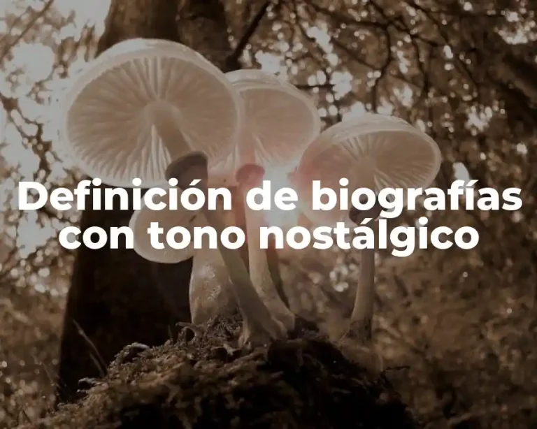 Definición de biografías con tono nostálgico