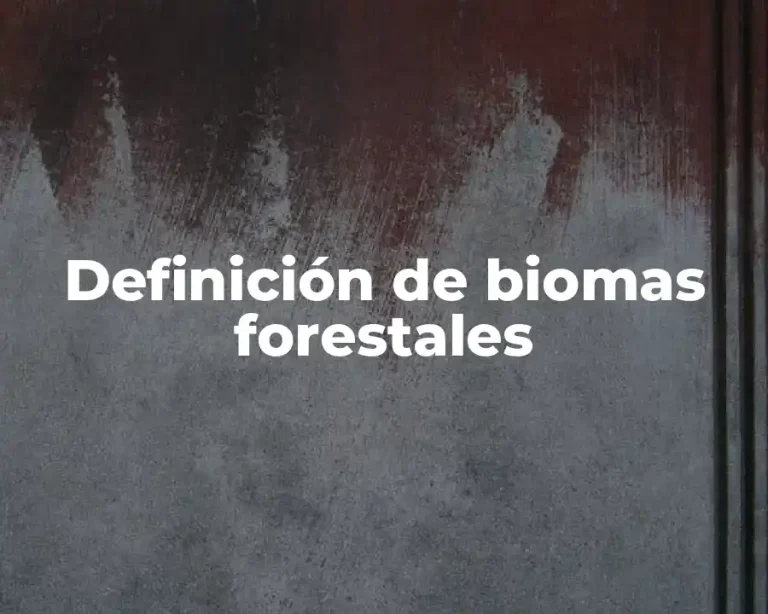 Definición de biomas forestales
