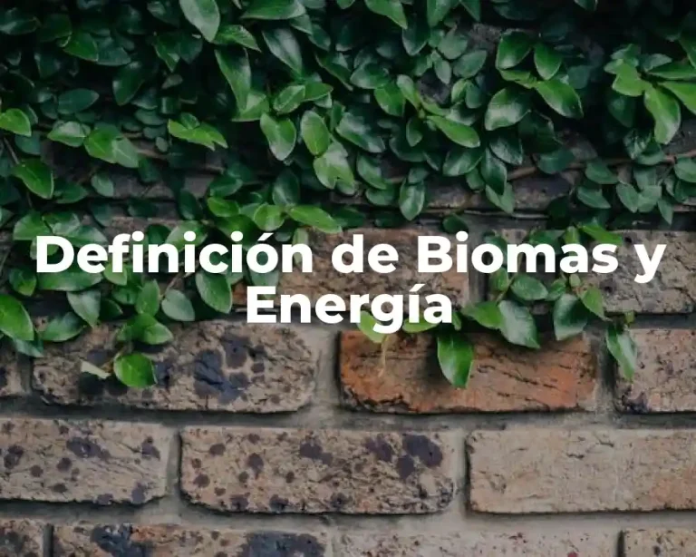 Definición de Biomas y Energía