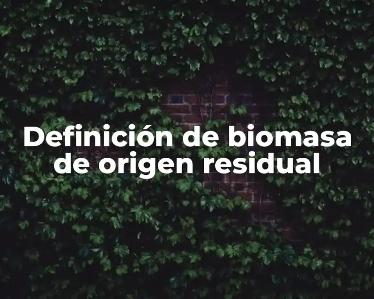 Definición de biomasa de origen residual