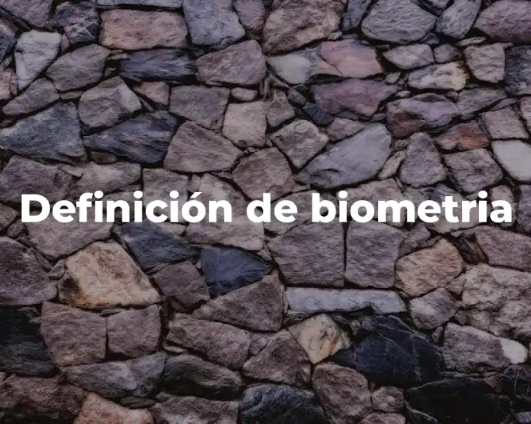 Definición de biometria