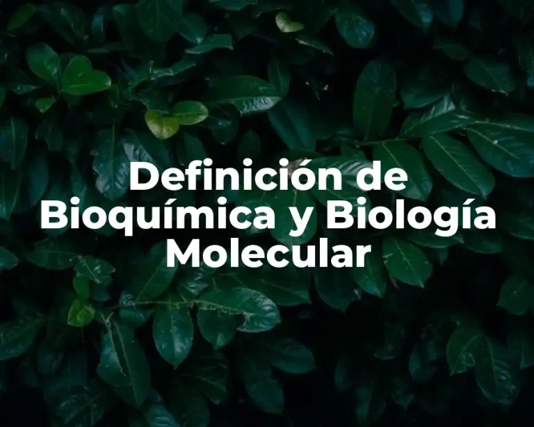 Definición de Bioquímica y Biología Molecular