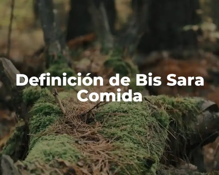 Definición de Bis Sara Comida